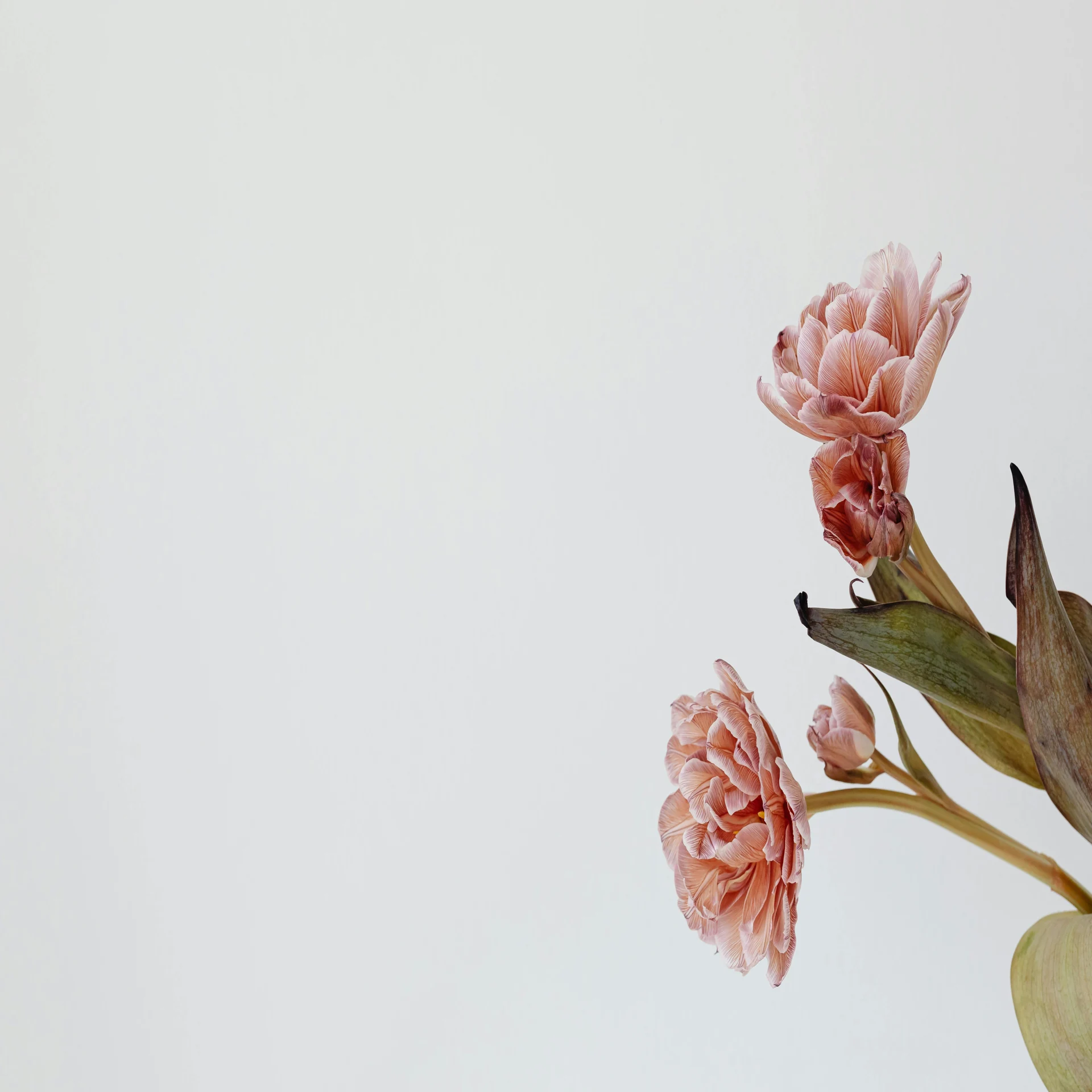 Online Therapy Services